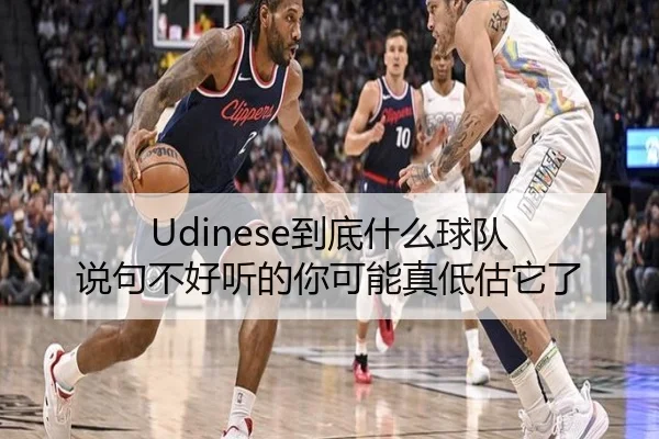 Udinese到底什么球队 说句不好听的你可能真低估它了