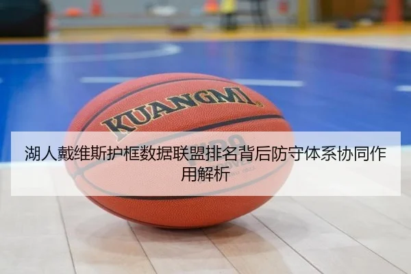 湖人戴维斯护框数据联盟排名背后防守体系协同作用解析